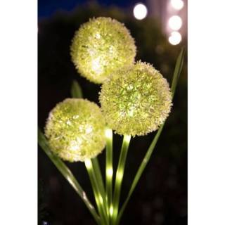 Galix Solarleuchte Allium