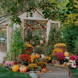 Näve Solar-Dekoleuchte Mushroom