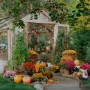 Näve Solar-Dekoleuchte Mushroom