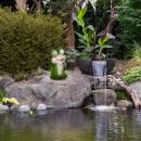 Näve Solar-Dekoleuchte Froggel