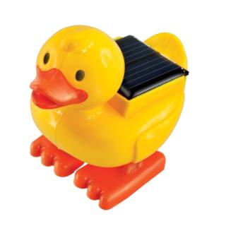 EDU Solar Duck