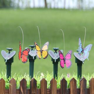 Fliegender Solar-Schmetterling 