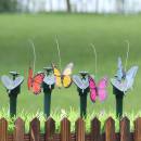 Fliegender Solar-Schmetterling
