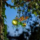 Solar Bug Light