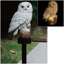 White Owl Solar Light