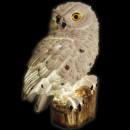 White Owl Solar Light