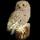 White Owl Solar Light