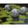 Floating Solar Ball Light Set of 3