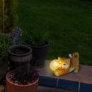 Näve Kätzchen mit Solar-Leuchtkugel