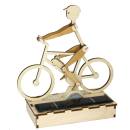 Solar wooden kit Cyclist