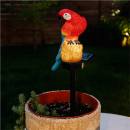 Solar-powered Parrot with stake
