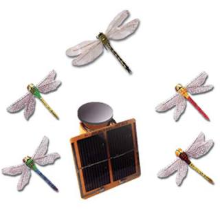 Solar Model Dragonfly