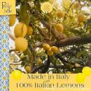 Bonbons durs au citron et à lorange 500 g