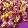Bonbons durs au goût de myrtille 200 g