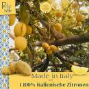 Perle di Sole Kekse mit Zitronengeschmack 200 g